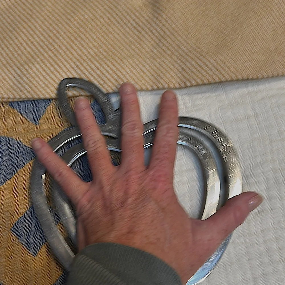 Vintage Silver Apple Trivet Ready to Hang 1980s